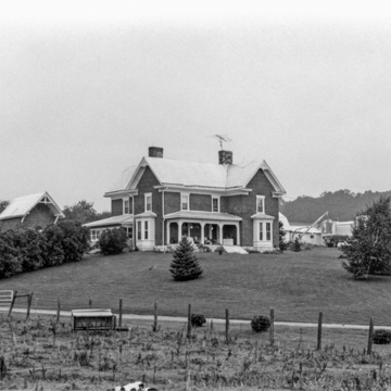 Eagle Oak