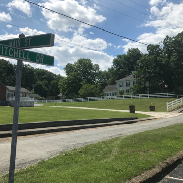 Mitchell Drive Houses