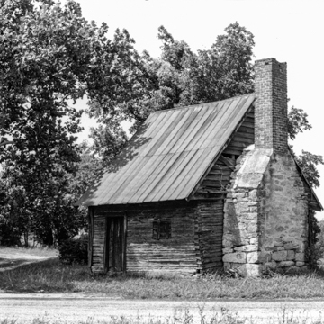 Old Pine Forest Log House