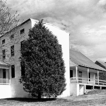 Rose Hill