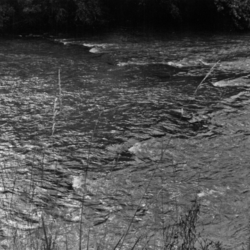 Martinsville Fish Dam