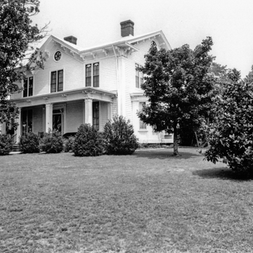 Shadow Lawn