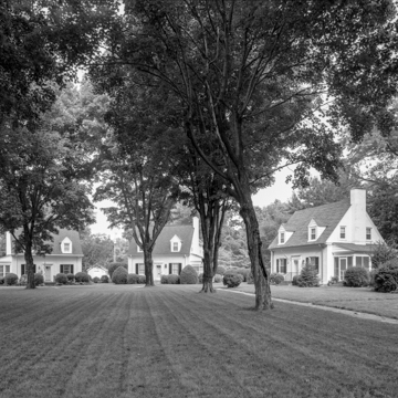 Wiley Court Houses