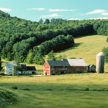 Warden Farm