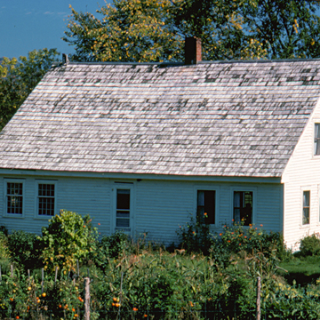 Rich Meadows