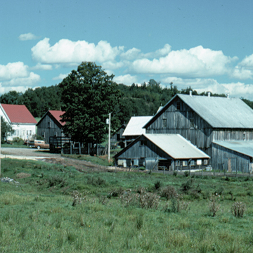 Stanhope Farmyard