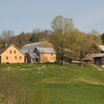 Miller Farm