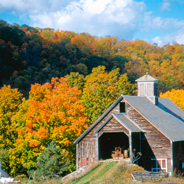 Brigham House and Gale Barn