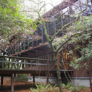School of Environmental and Forest Sciences
