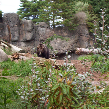 Woodland Park Zoo