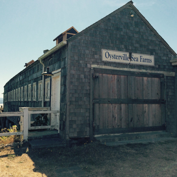 Oysterville Cannery