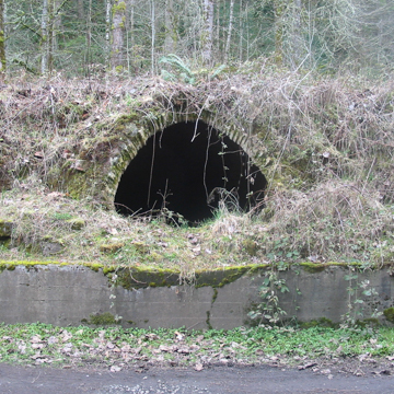 Wilkeson Coke Ovens
