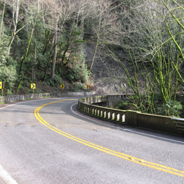Chuckanut Drive