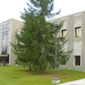 Photo 8 of University of Alaska