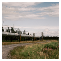 Trans-Alaska Pipeline