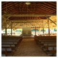 Photo 2 of Little Texas Tabernacle