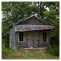 Photo 5 of Moore-Webb-Holmes Plantation Complex