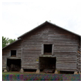 Photo 9 of Moore-Webb-Holmes Plantation Complex