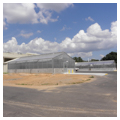 Photo 6 of University of Arkansas Rice Research and Extension Center (RREC)