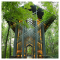 Photo 2 of Thorncrown Chapel