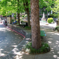 Photo 3 of Basin Spring Park