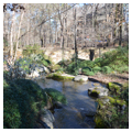 Photo 2 of Garvan Woodland Gardens