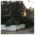 Photo 5 of Frank Gehry Residence