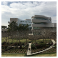 Getty Research Institute with view of the Central Garden