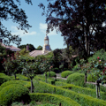 Photo 2 of Filoli Gardens