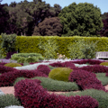 Photo 3 of Filoli Gardens