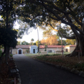 Cemetery grounds enclosed by convento
