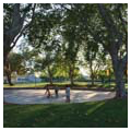 Photo 4 of J. Pearce Mitchell Park