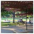Photo 5 of J. Pearce Mitchell Park