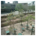 Skyline Park