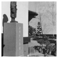 Sakura Square