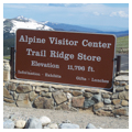 Photo 4 of Alpine Visitor Center