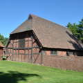 Forge, Farm Group