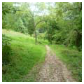 Old farm road