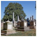 Photo 2 of Congressional Cemetery