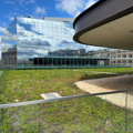 Photo 5 of Martin Luther King, Jr., Memorial Library