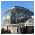 Photo 2 of United States Botanic Garden