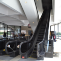 Photo 10 of Hirshhorn Museum and Sculpture Garden
