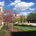 Photo 2 of University of the District of Columbia (Washington Technical Institute)