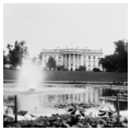 White House
