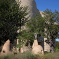 Photo 3 of National Museum of the American Indian, Smithsonian Institution