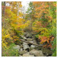 Photo 3 of Brandywine Granite Quarry