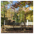 Photo 2 of Frank Stephens Memorial Theater (Open-Air or Field Theatre)