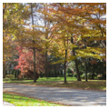 Westover Hills