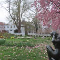 Photo 3 of Garden