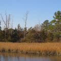 Photo 2 of Pagan Creek Dike